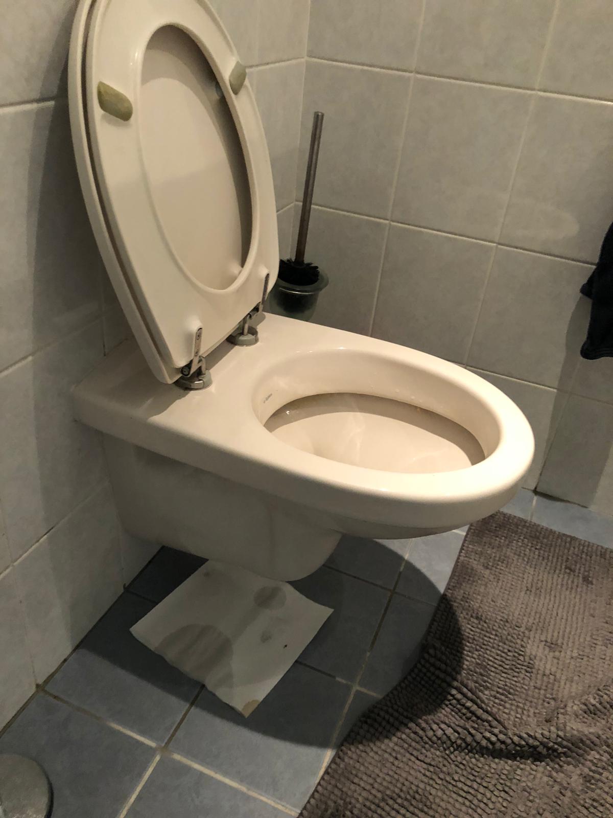 hangtoilet Oud-Beijerland